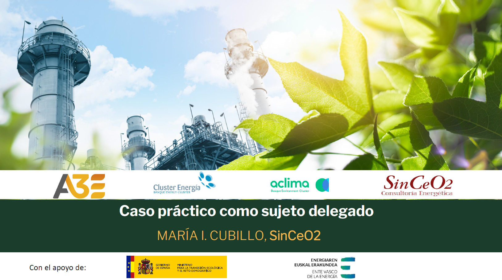 Jornada CAEs Bilbao 20 Febrero de 2024. Caso práctico como sujeto delegado.