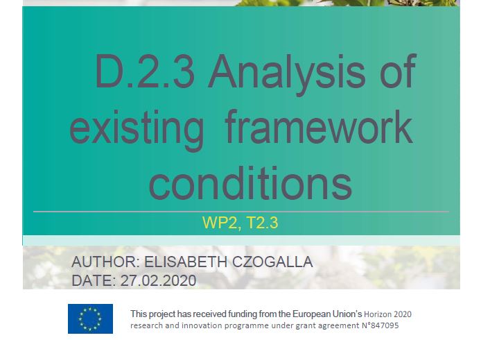 Documento 2.3 Analysis of existing framework conditions